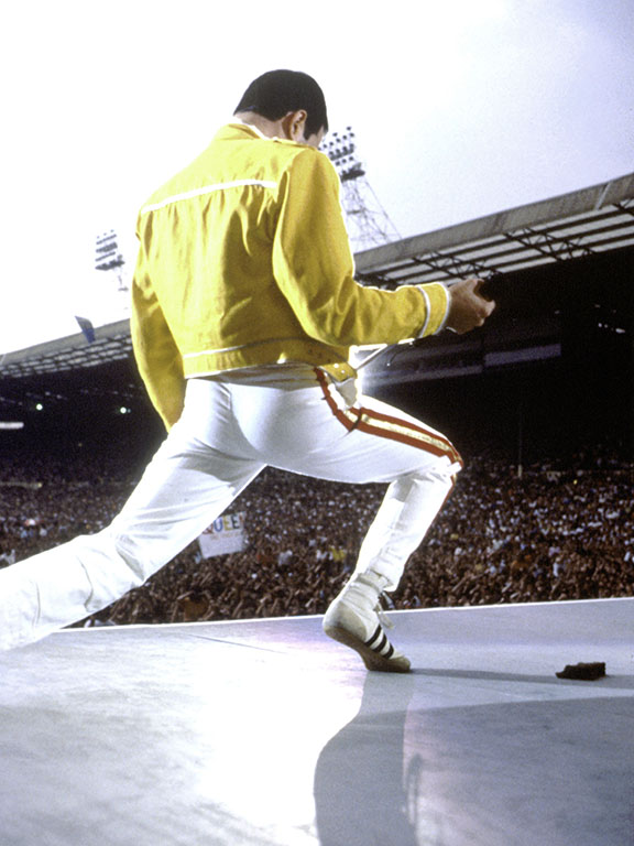 Freddie Mercury - Pick Art